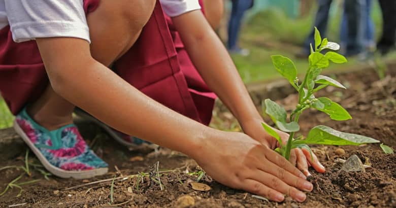 Educação ambiental nas escolas | Como desenvolver consciência ambiental para as próximas gerações?
