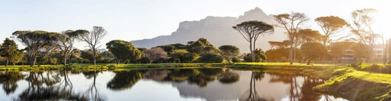 Intro Image | O que podemos aprender com a natureza