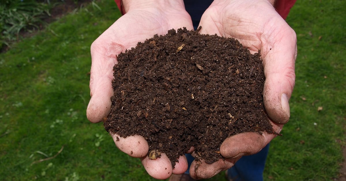 Como Fazer Compostagem – Guia Completo Para Iniciantes