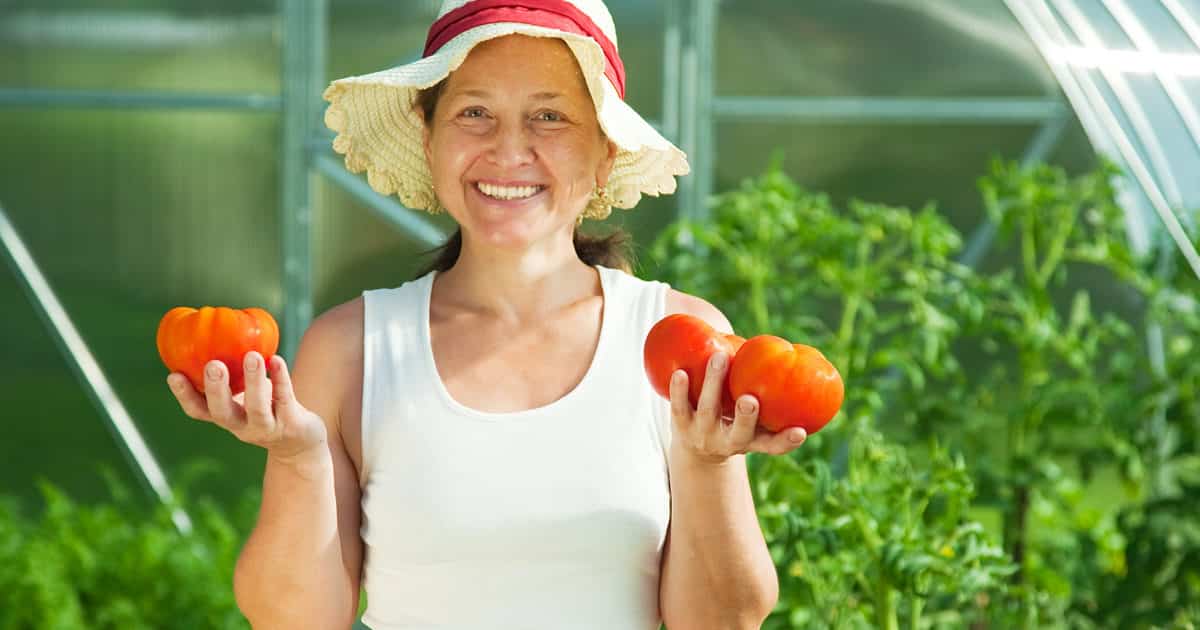 10 Dicas Para Montar uma Pequena Horta Saudável em Casa