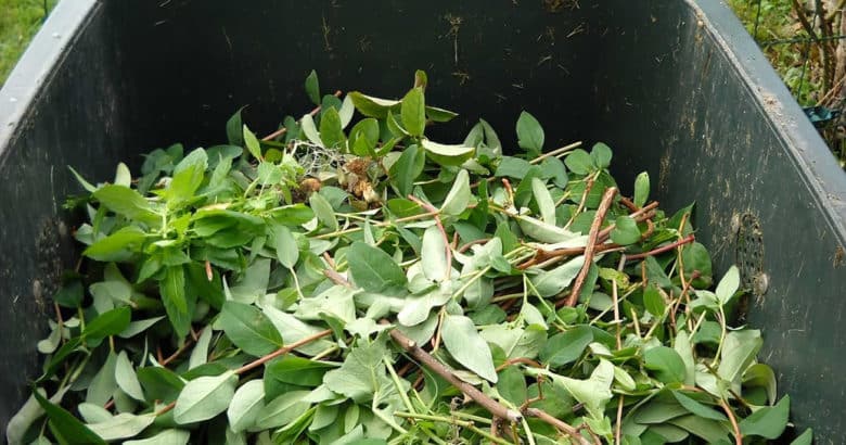 como fazer compostagem resíduos verdes compostagem