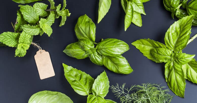 montar uma horta saudável - vista superior de diferentes ervas aromaticas