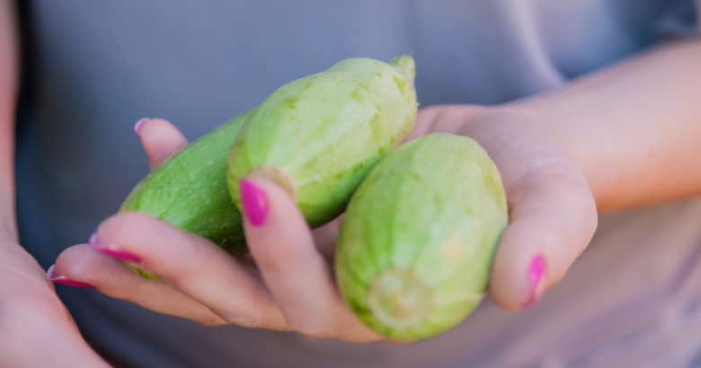 Horta em Apartamento | Conceito fechado. Escolhendo vegetais no mercado verde local. Mulher escolhendo vegetais frescos para medir no supermercado