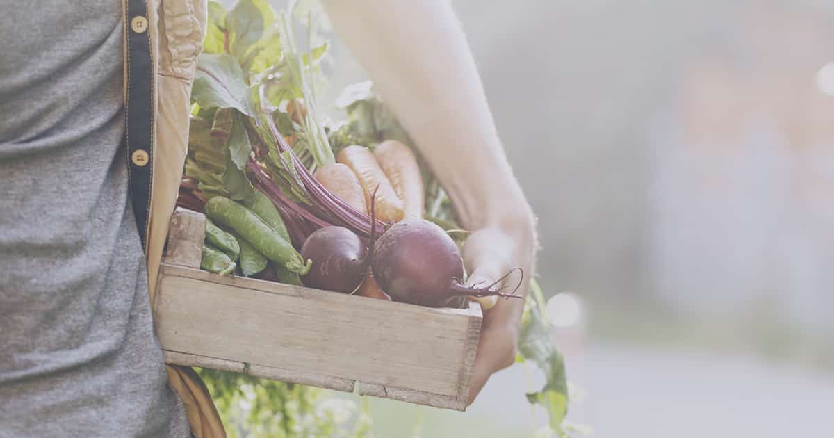 7 Dicas de Negócios Para Obter Dinheiro no Campo
