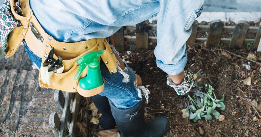 inseticidas caseiros | Crop woman planting sprouts in garden