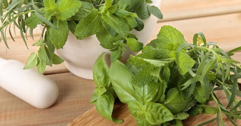 ervas perenes | Ervas frescas com um almofariz e pilão