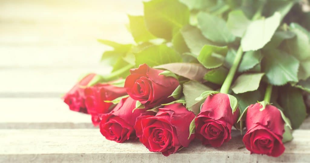 fazer mudas de rosas | Rosas em uma mesa de madeira