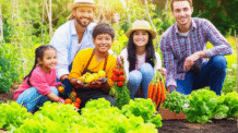 Família Resiliente: Guia para uma Vida Natural e Sustentável