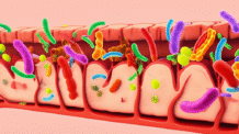 Descubra o Microbioma da Felicidade: Como a Vida Natural Eleva Seu Humor