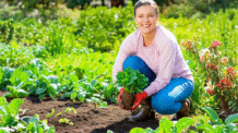 Viva Autenticamente: Abrace a Vida Natural Imperfeita!