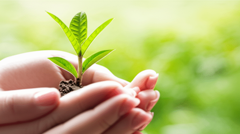 Crescimento Constante Mãos segurando um broto de planta, simbolizando crescimento e aprendizado.